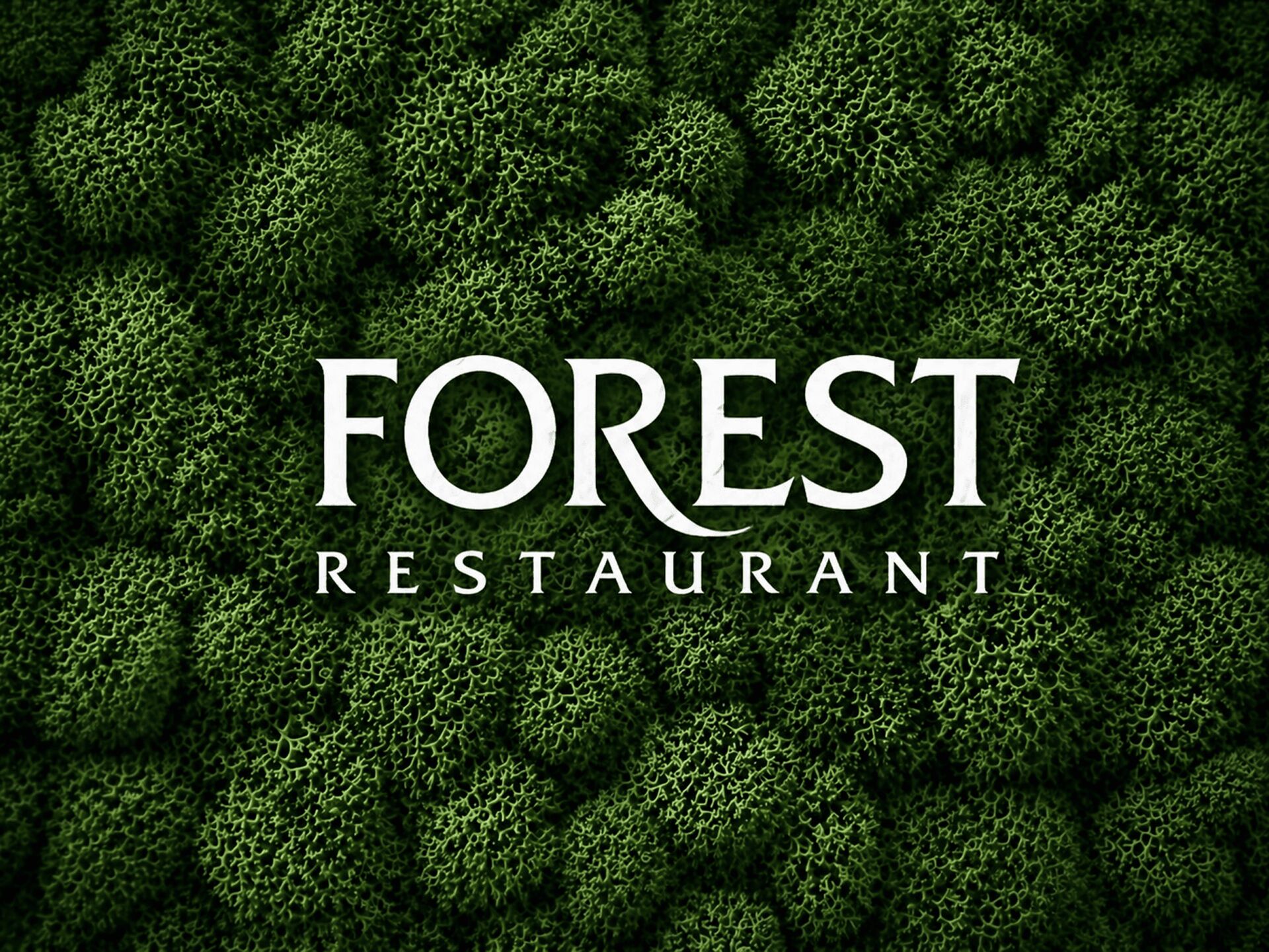 Forest