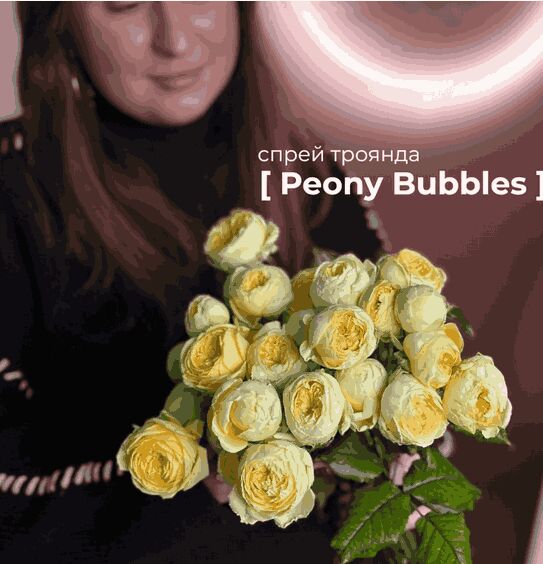 Піоні баблз — Яся Квіти