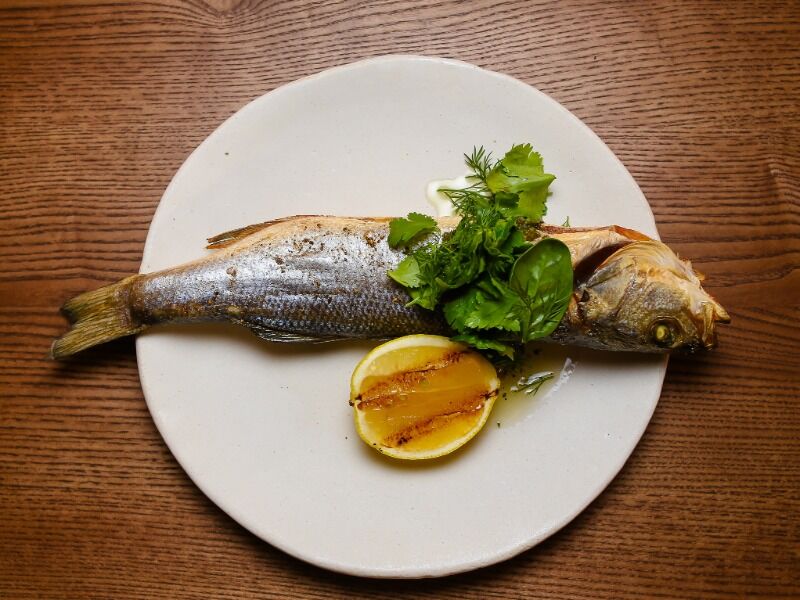 Сібас на вуглях — Restaurant 1909